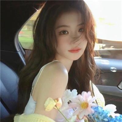 超完美狗保姆