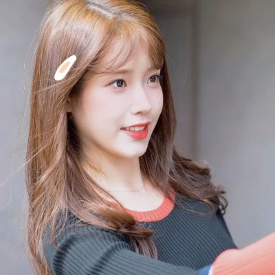 燕子盗